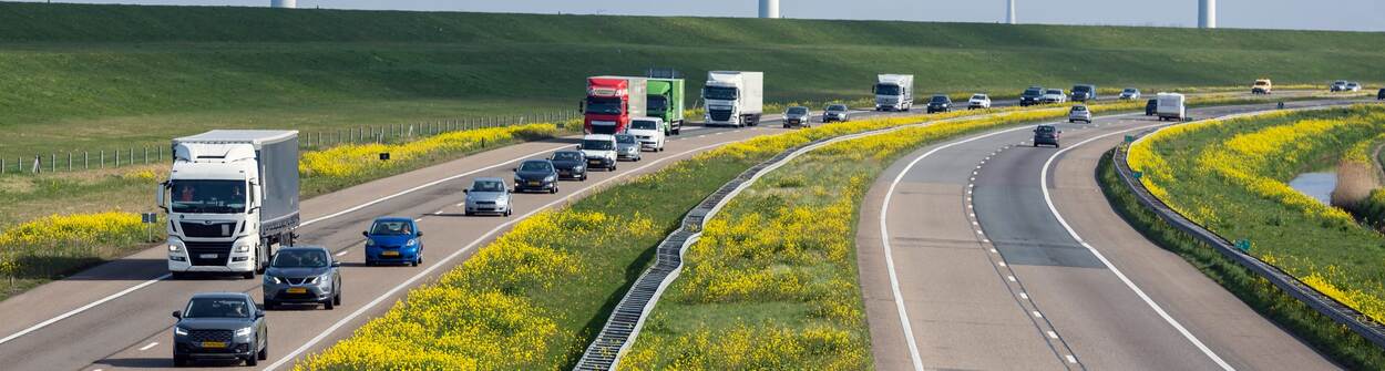 Twee autowegen die langs elkaar lopen door het groen