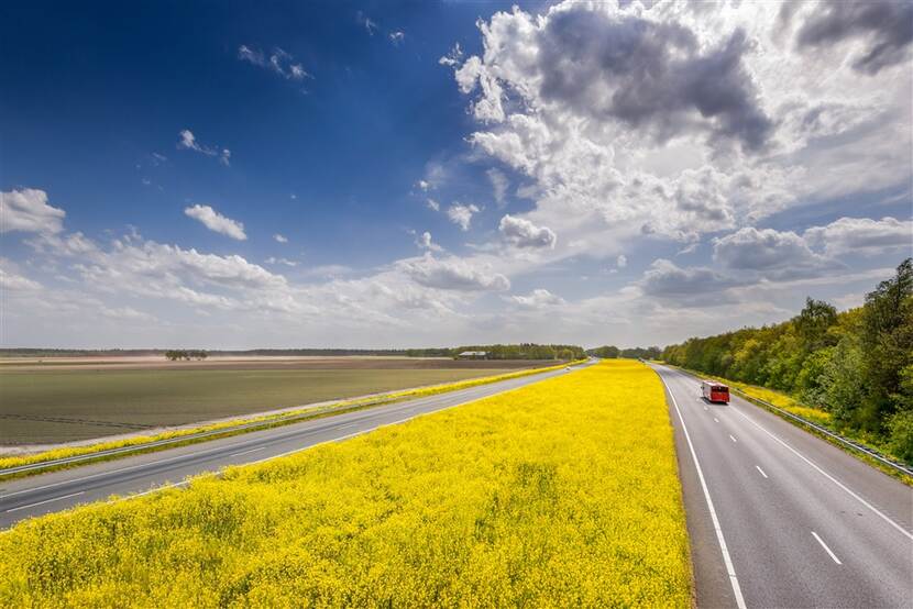 Snelweg door een groen landschap met gele bloemen, op een heldere dag.