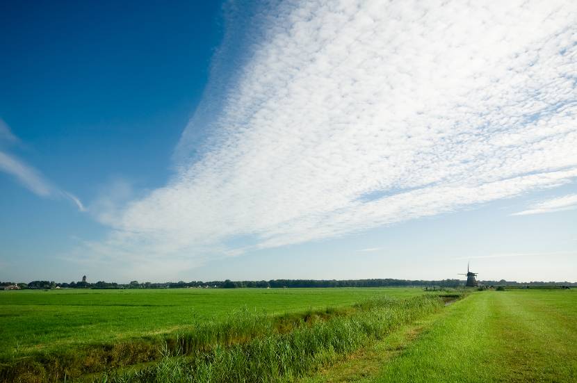 Landschap met weiland en molen in de verte